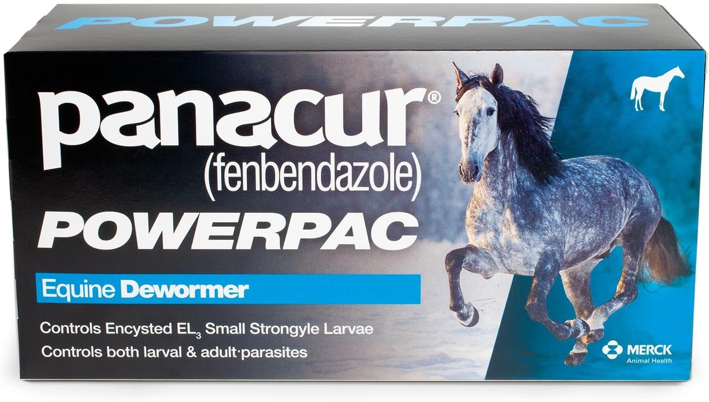 71zSgaK1wxL._AC_SL1500_ (1)